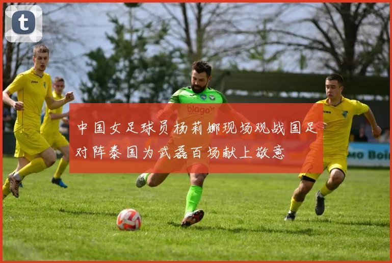 中国女足球员杨莉娜现场观战国足对阵泰国为武磊百场献上敬意