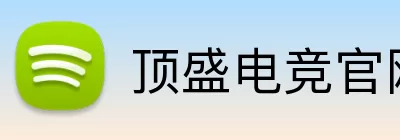 顶盛电竞官网 Logo